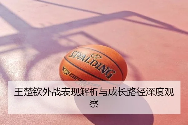 王楚钦外战表现解析与成长路径深度观察