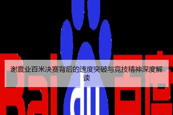 谢震业百米决赛背后的速度突破与竞技精神深度解读
